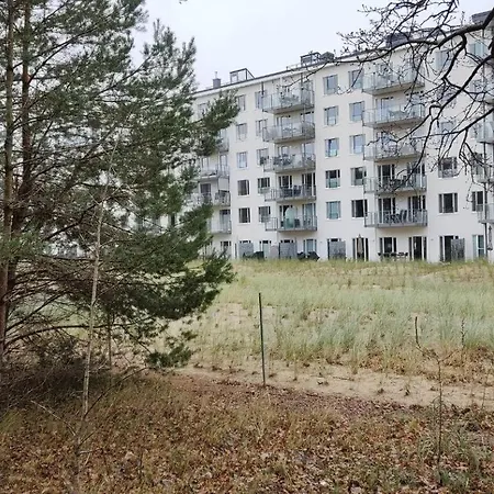 Prora - Mit Balkon - Treibholz